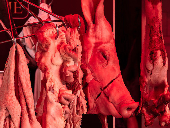 08-Pc09-2019-09-11 10.40.58